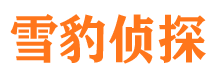 大田出轨调查